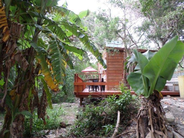 Yellowwood Forest Eco Retreat Morgan's Bay Buitenkant foto