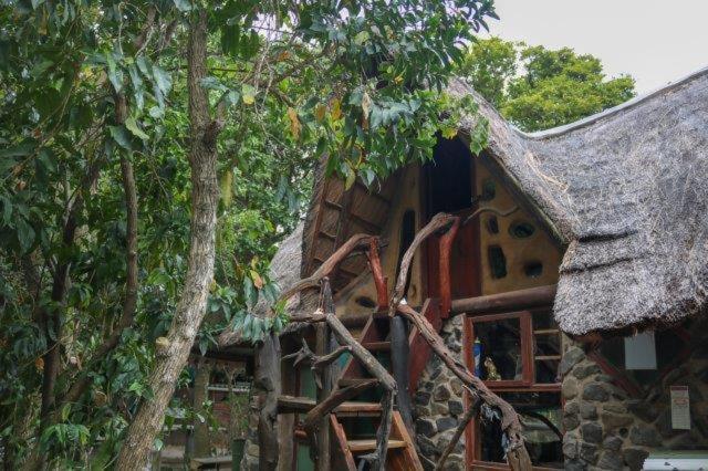 Yellowwood Forest Eco Retreat Morgan's Bay Buitenkant foto